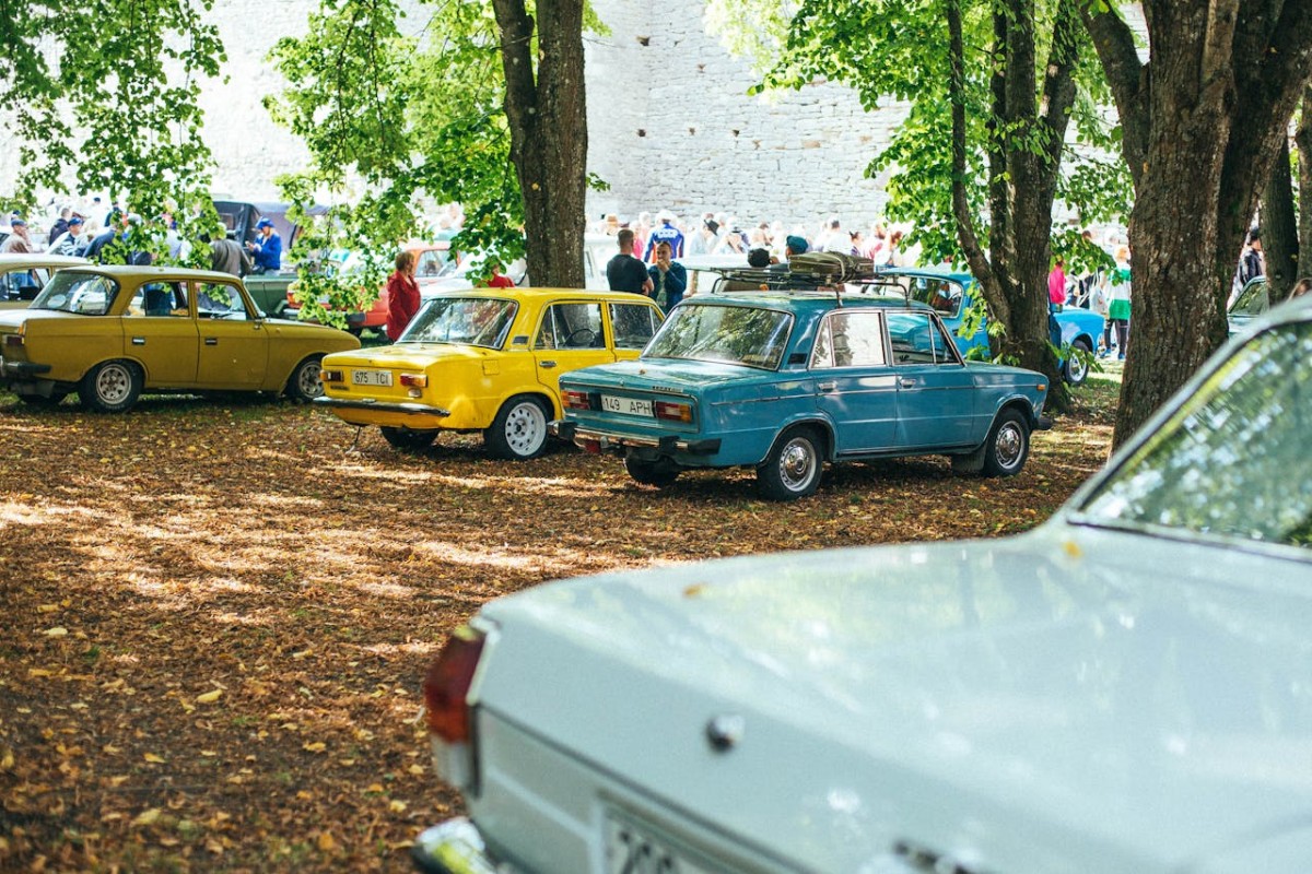 Výkup veteránů, klasický automobil z 60. let